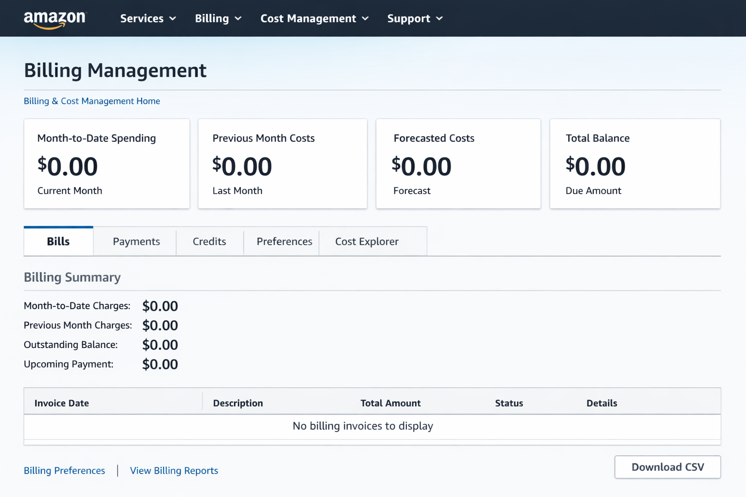 The Ultimate Guide to AWS Free Tier: Architecting for Zero-Cost Scalability